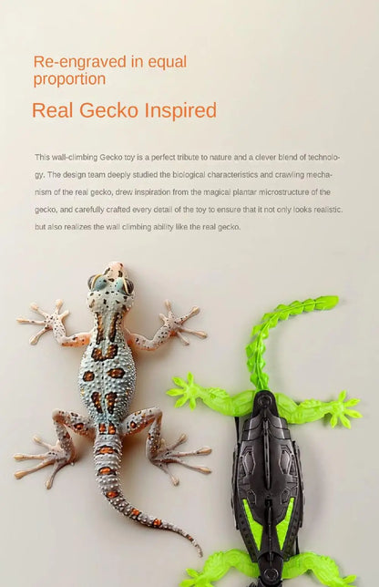 GeckoGrip RC Wall Climber